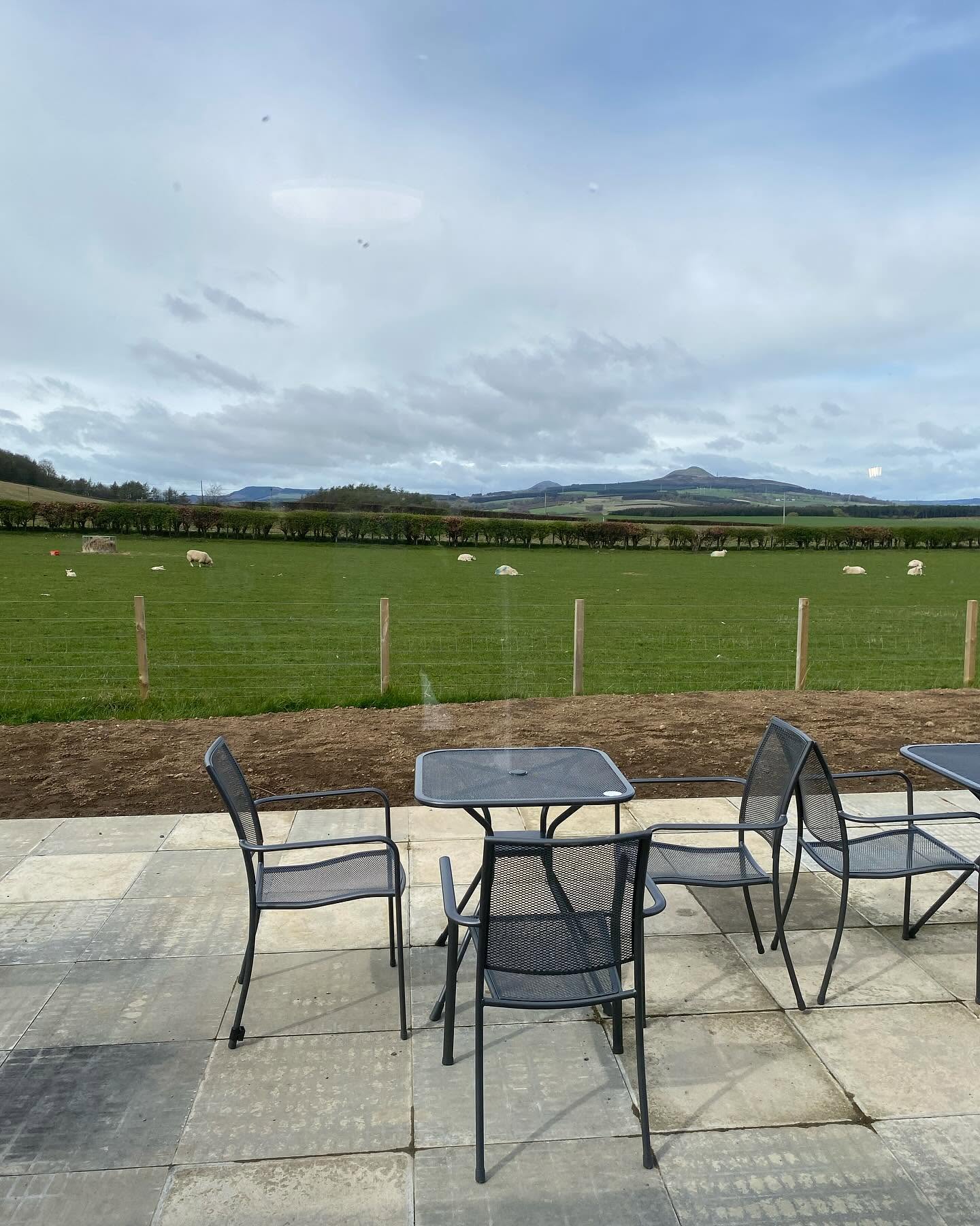 Terrace tables looking over fields of sheep towards the Lomond Hills
